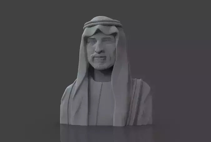Bust Sheikh 3D