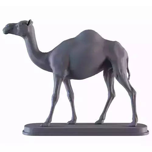 Camel stand